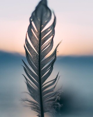 Attachment_1555118443